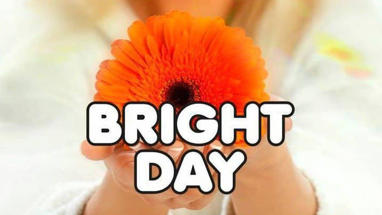 Bright Day backdrop
