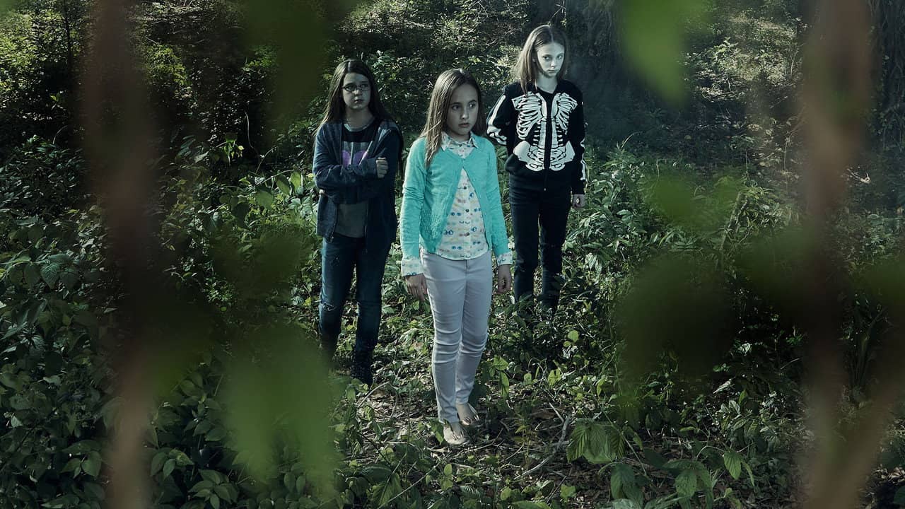 Terror in the Woods backdrop