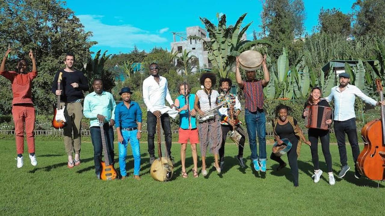 Maisha backdrop