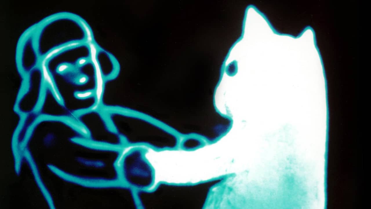 Snow Cat backdrop