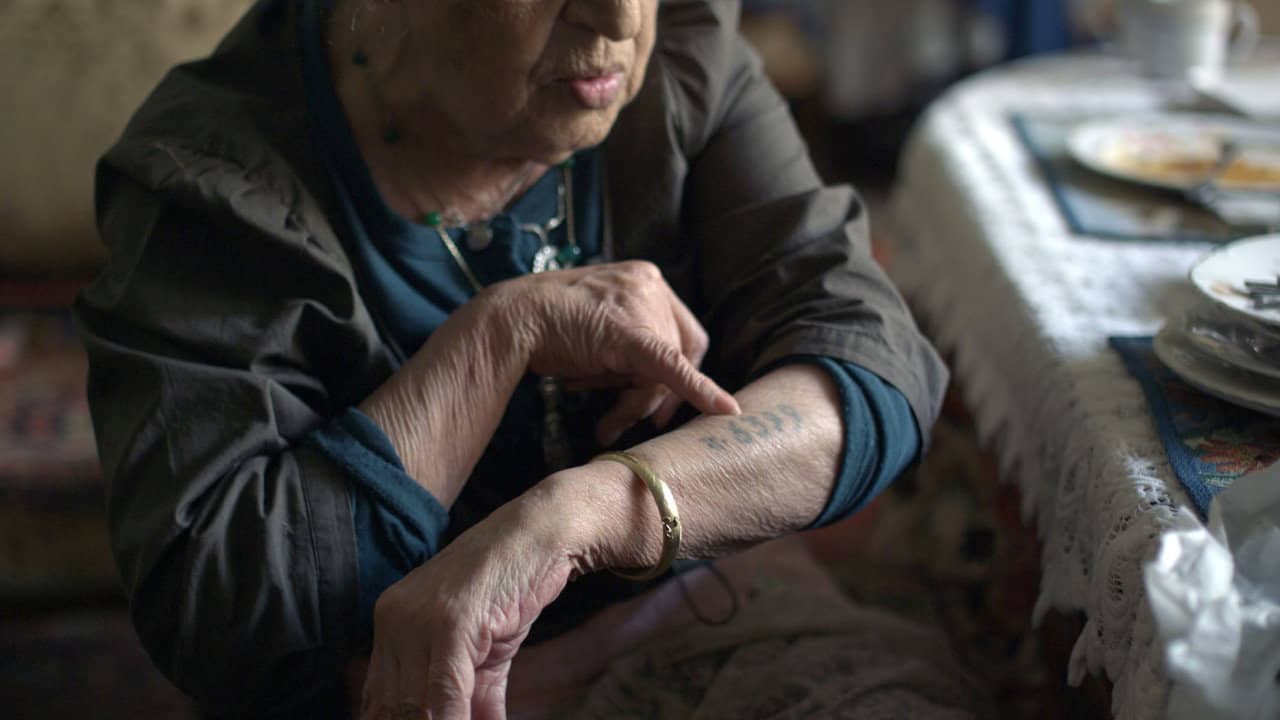 A People Uncounted: The Untold Story of the Roma backdrop