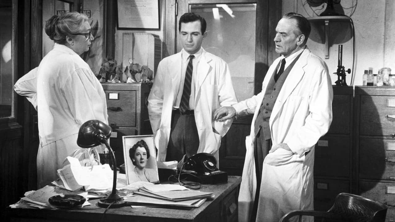 The Young Doctors backdrop
