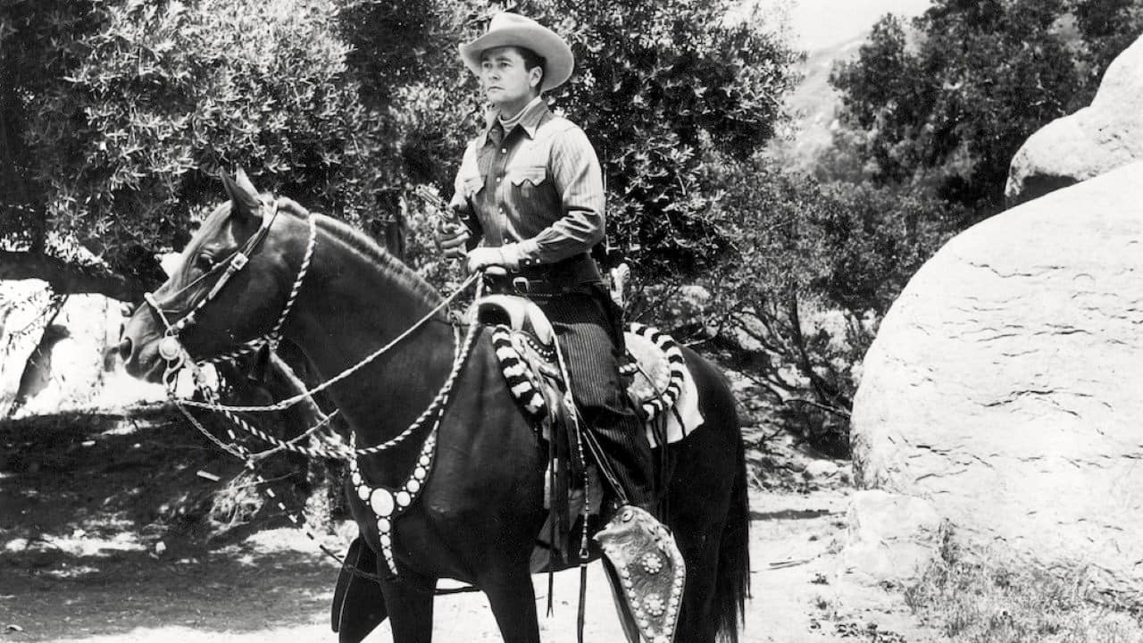 Overland Telegraph backdrop