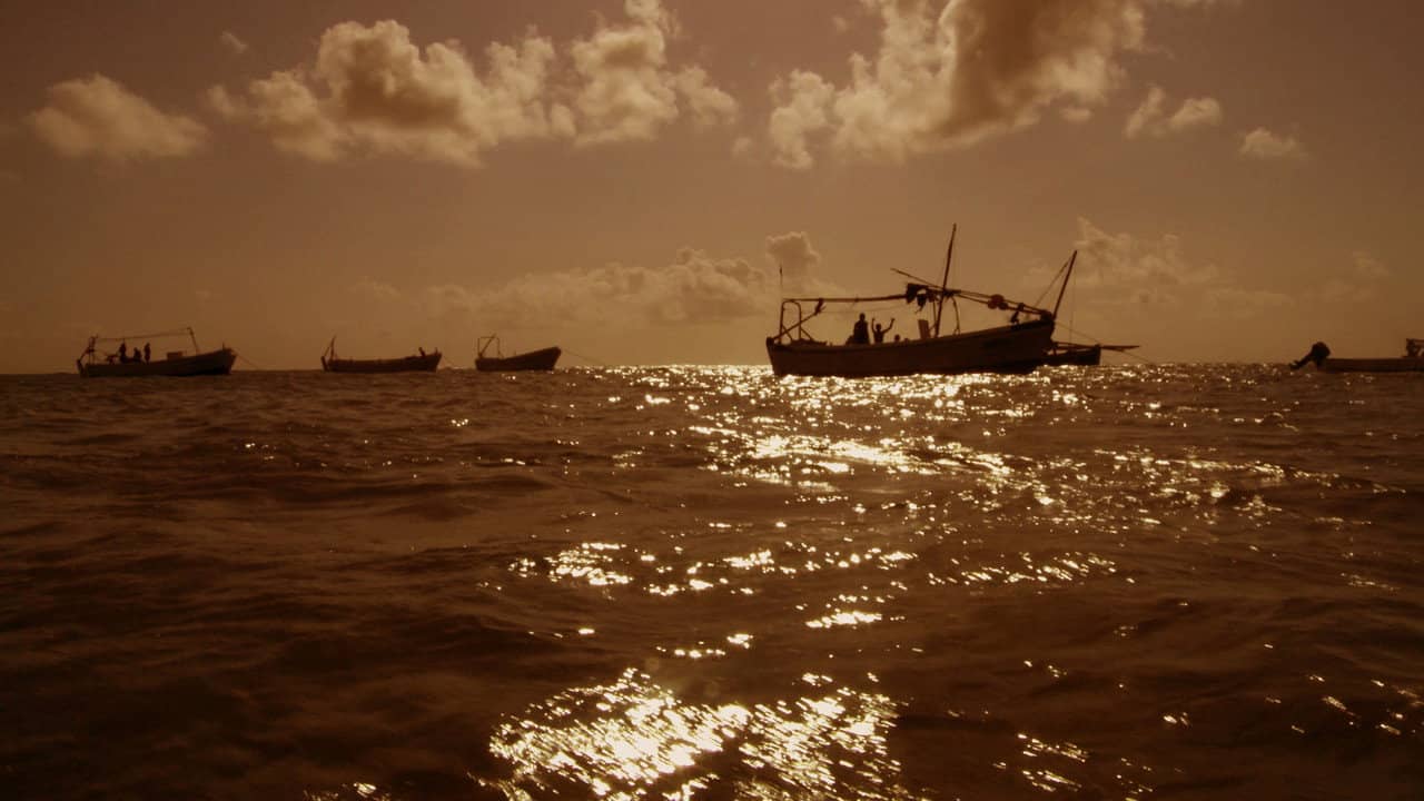 Pirating Pirates backdrop