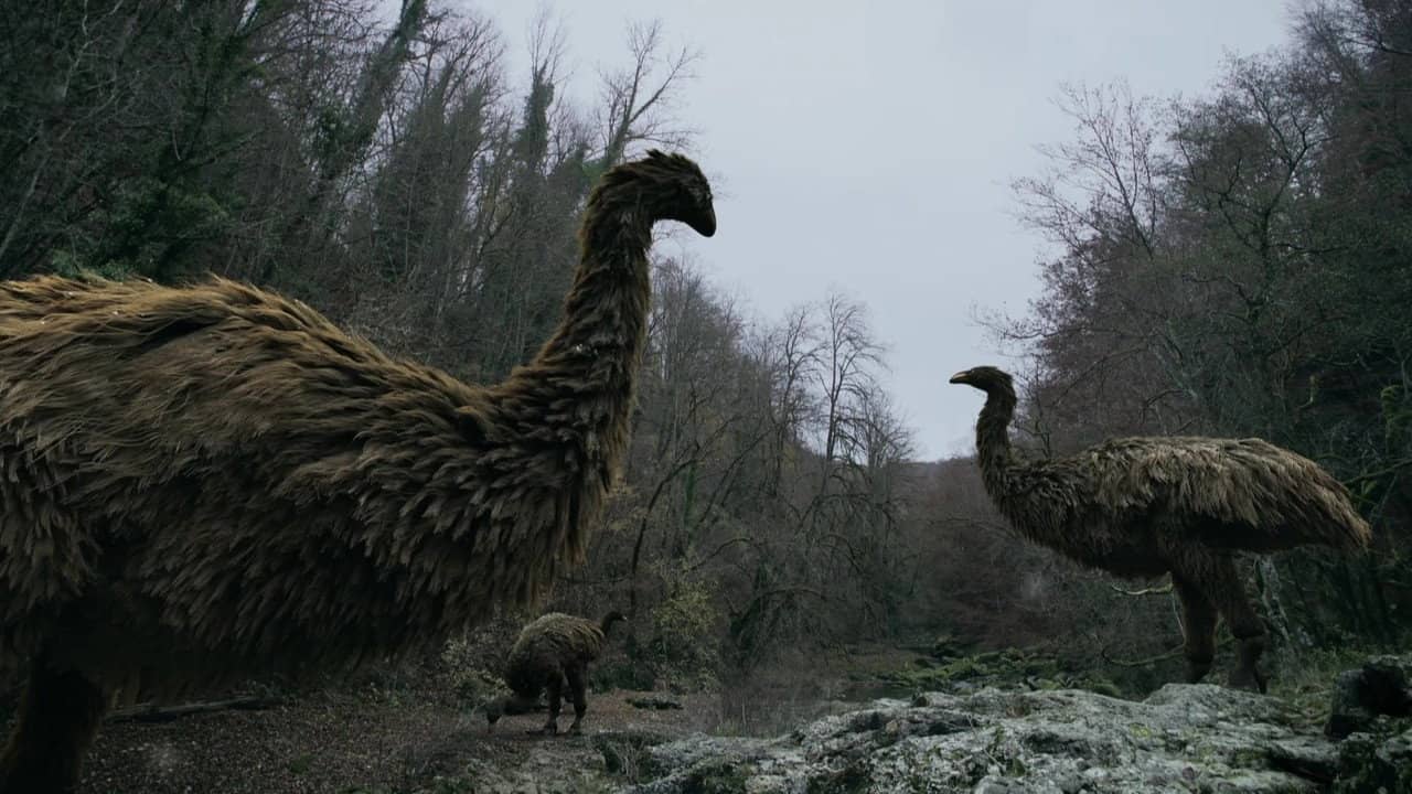 Mystery of the Giant Birds backdrop