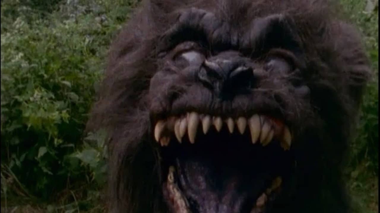 Goosebumps: Welcome to Camp Nightmare backdrop