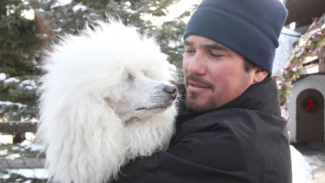 The Dog Who Saved Christmas Vacation backdrop