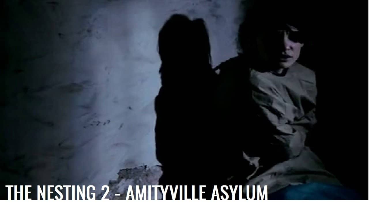 The Amityville Asylum backdrop
