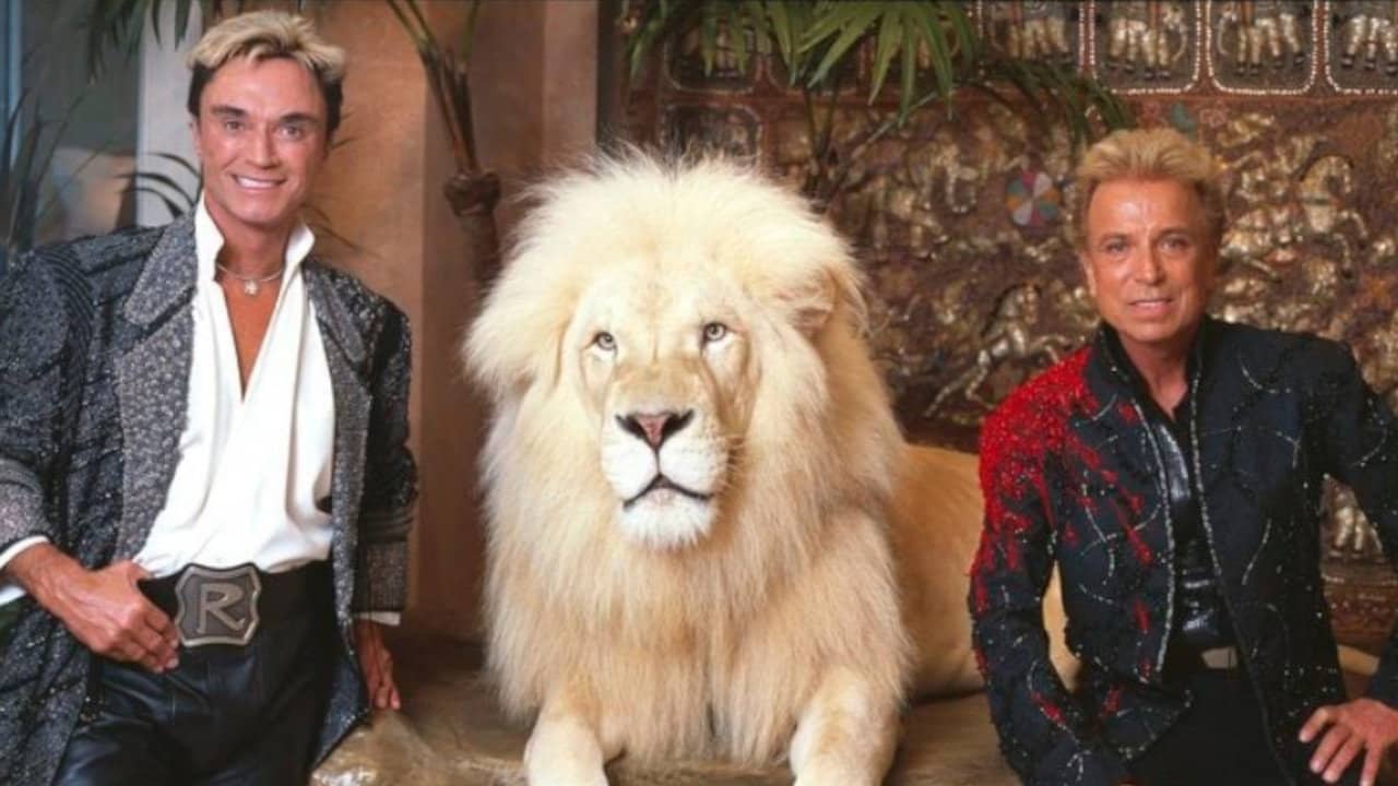 A Tribute to Siegfried & Roy backdrop