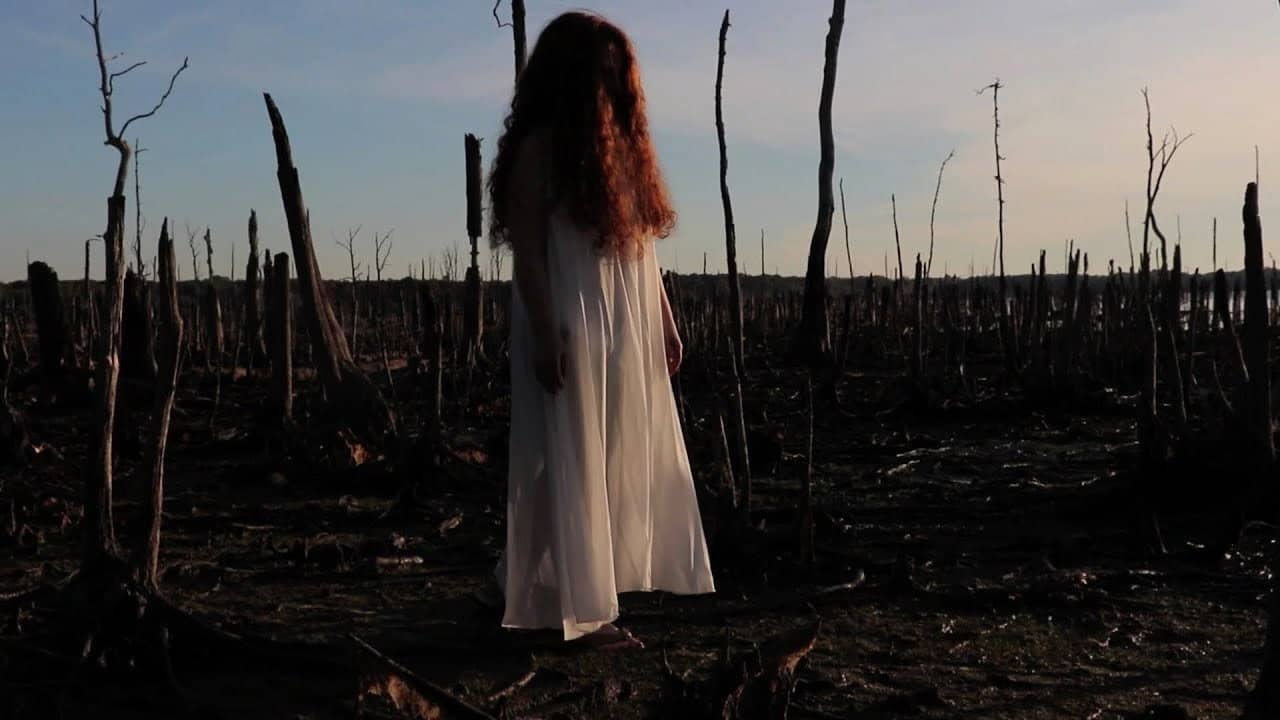 The Girl in the Cornfield backdrop