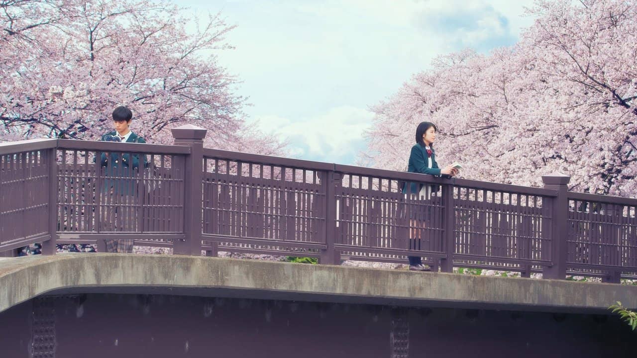 Let Me Eat Your Pancreas backdrop