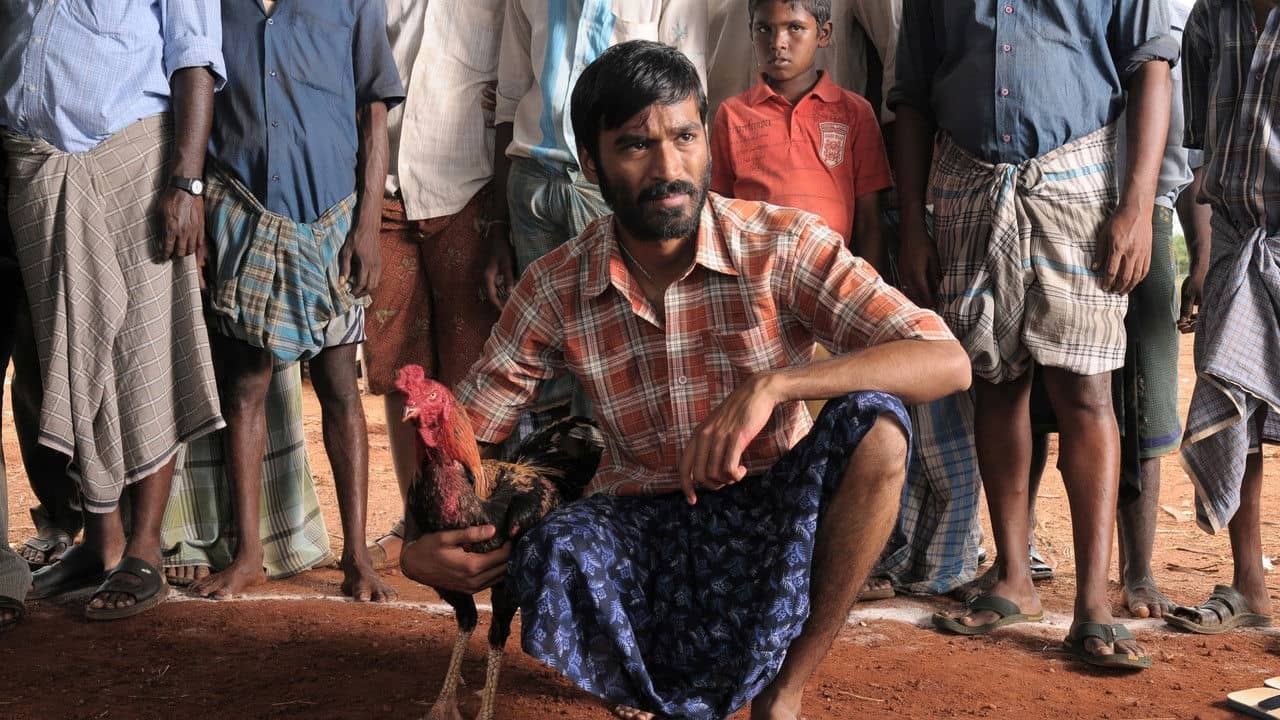 Aadukalam backdrop
