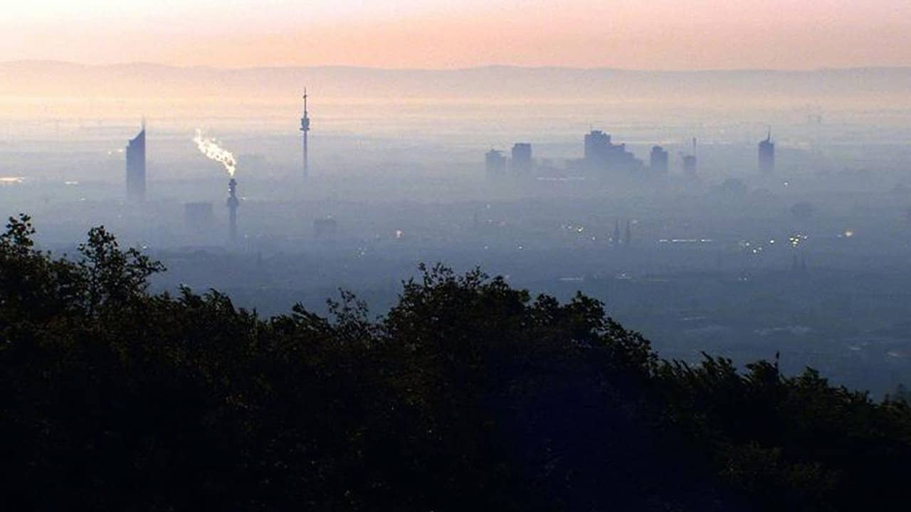 Vienna's Forests - Jewels of Green backdrop
