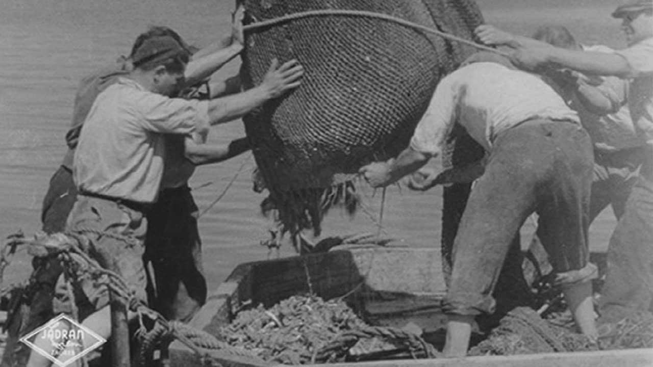 Tuna Fishermen backdrop