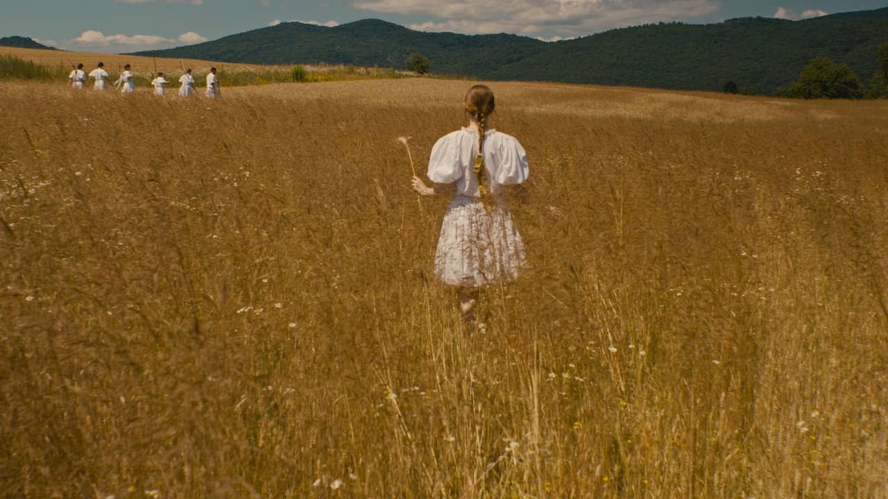 The Harvest backdrop