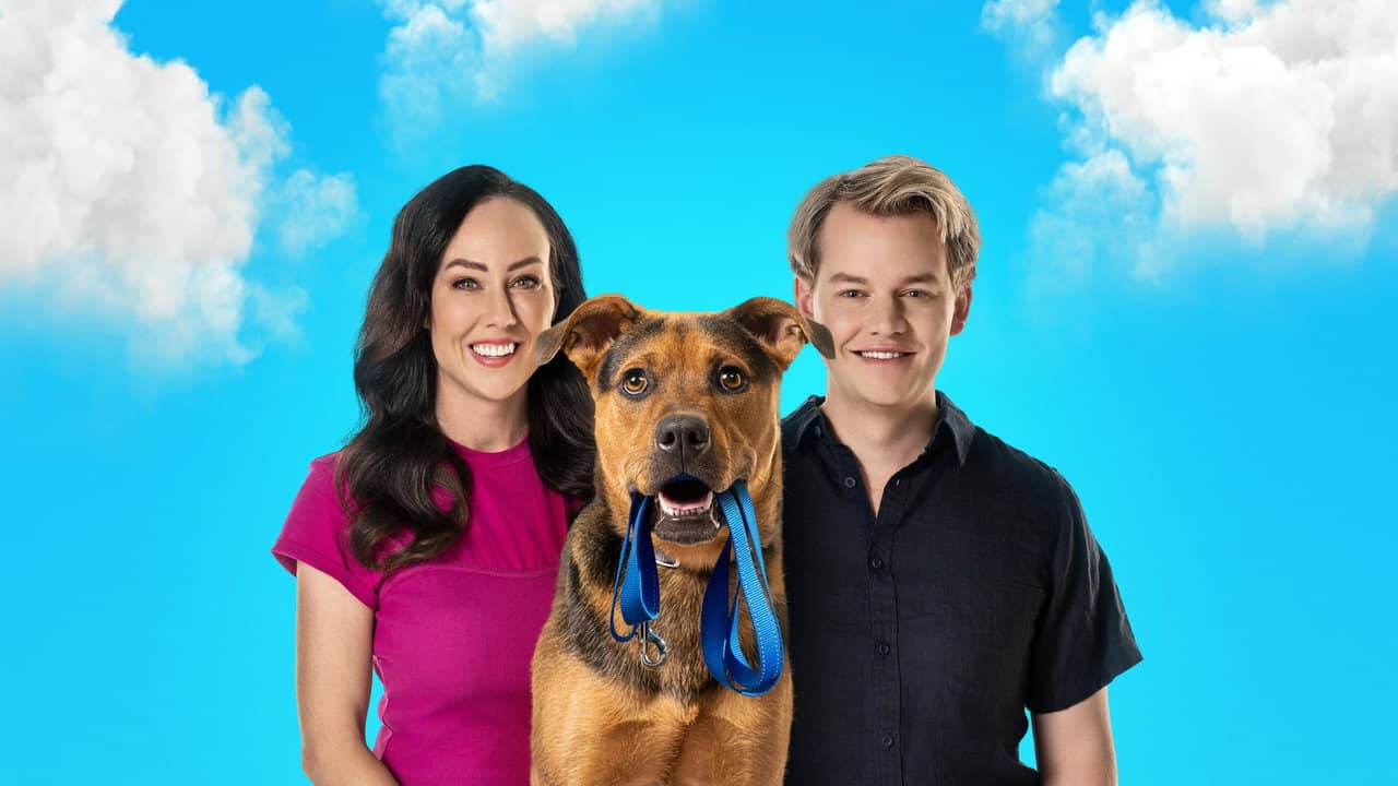 New Leash on Life backdrop