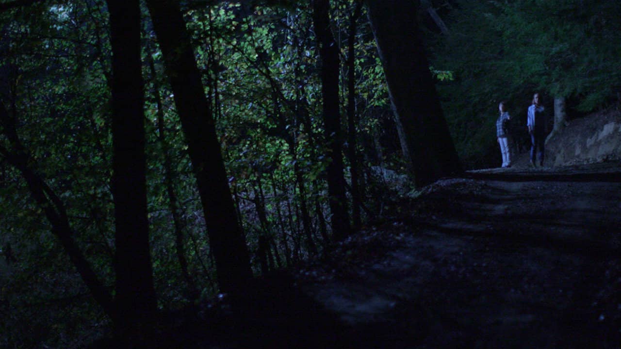 Below the Trees backdrop