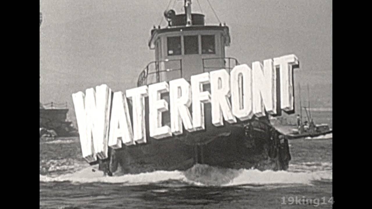 Waterfront backdrop