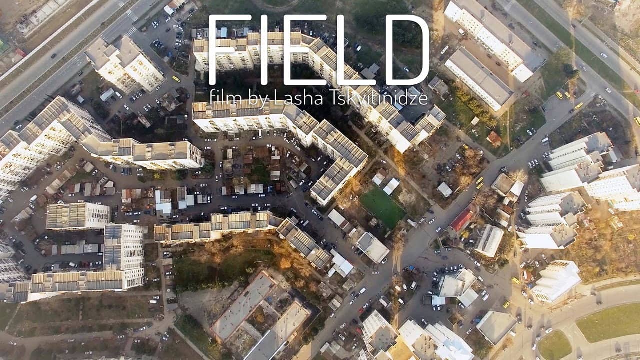 Field backdrop