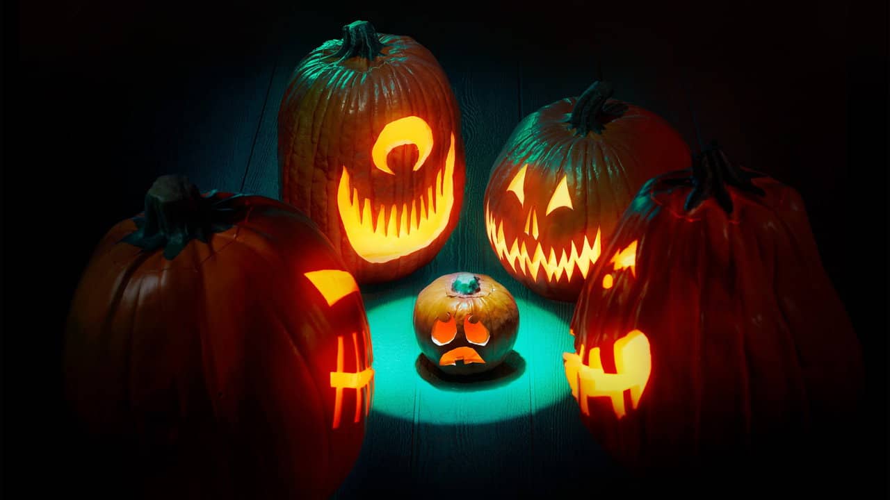 Outrageous Pumpkins backdrop