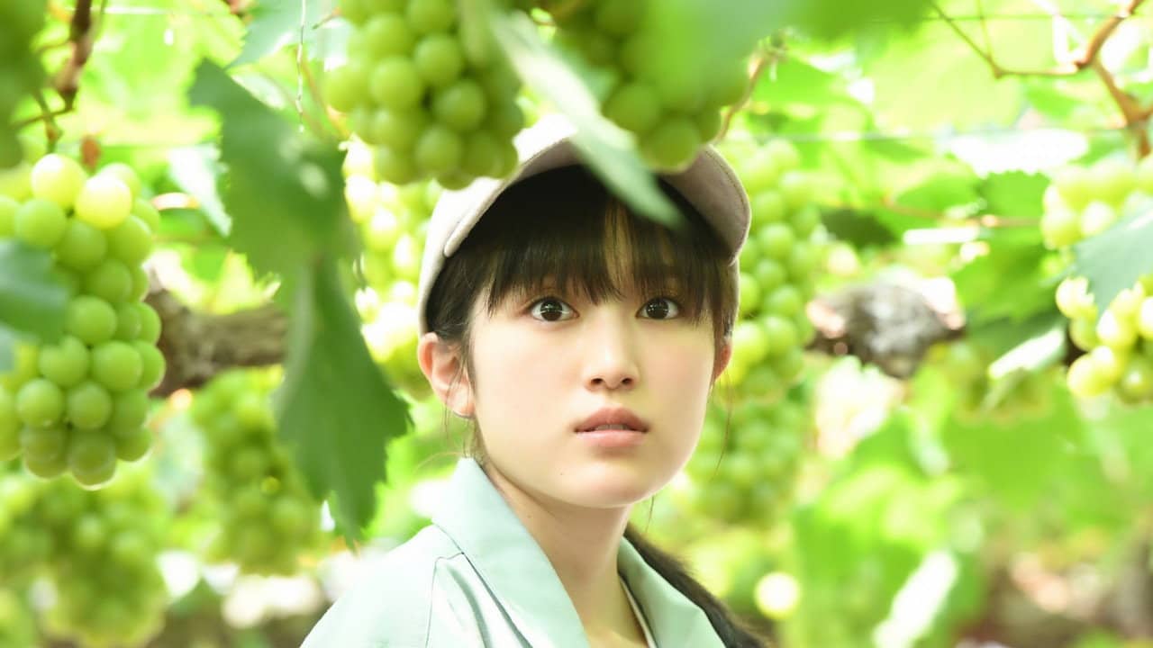 The Grapes of Joy backdrop