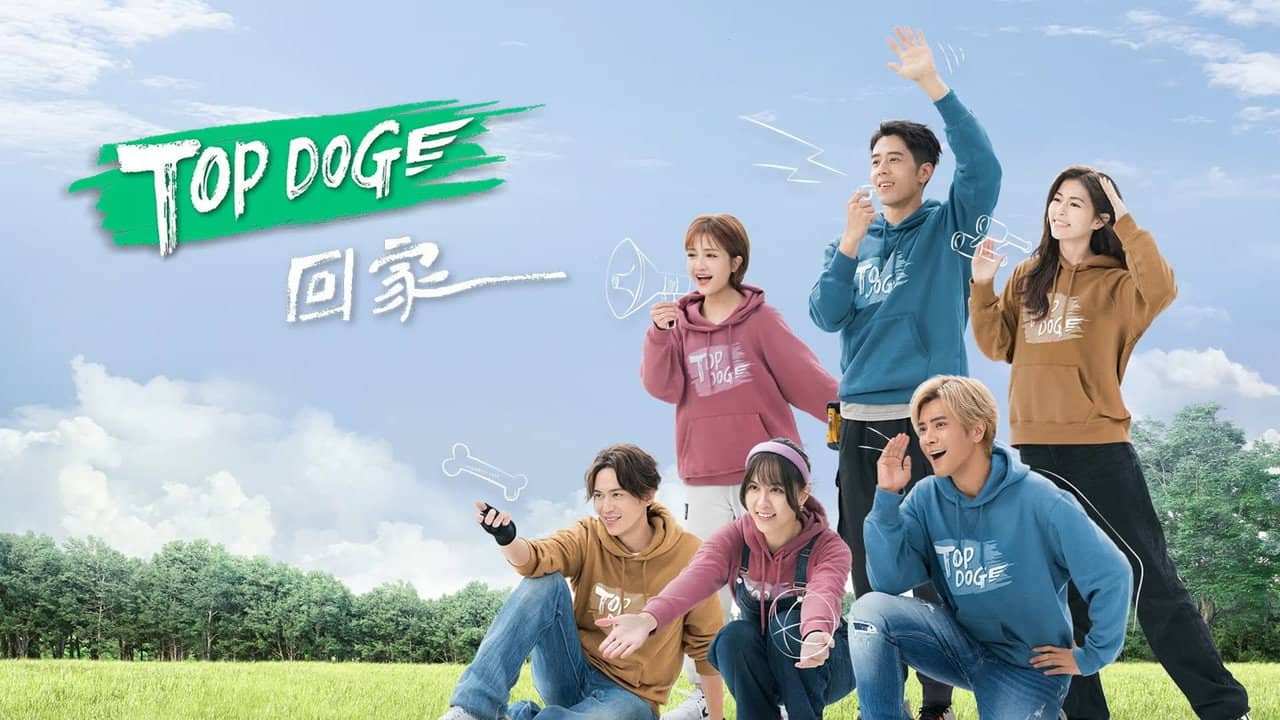 TOP DOG backdrop