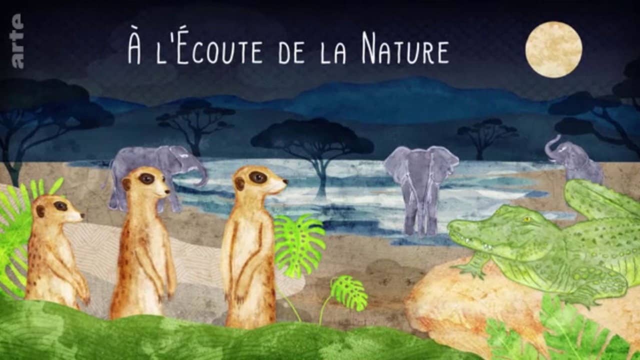 À l’écoute de la nature backdrop