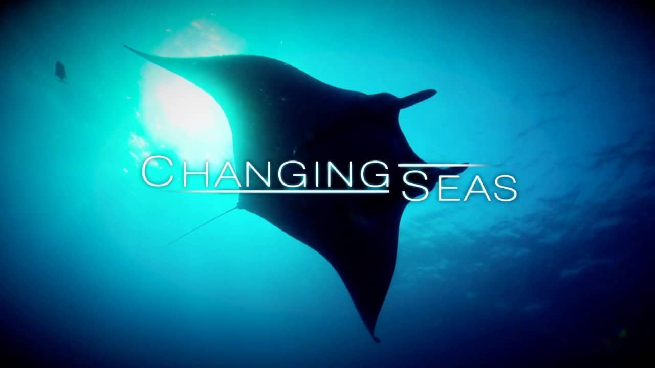 Changing Seas backdrop