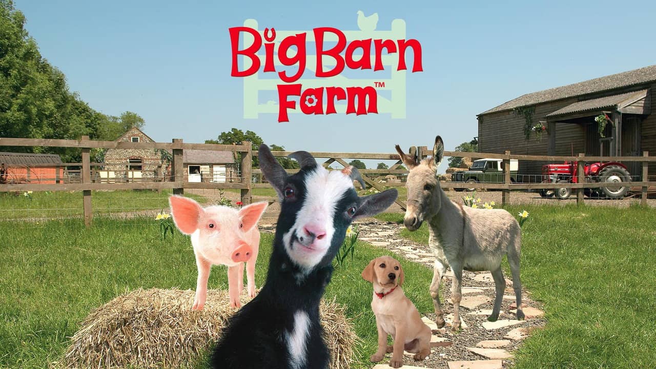 Big Barn Farm backdrop