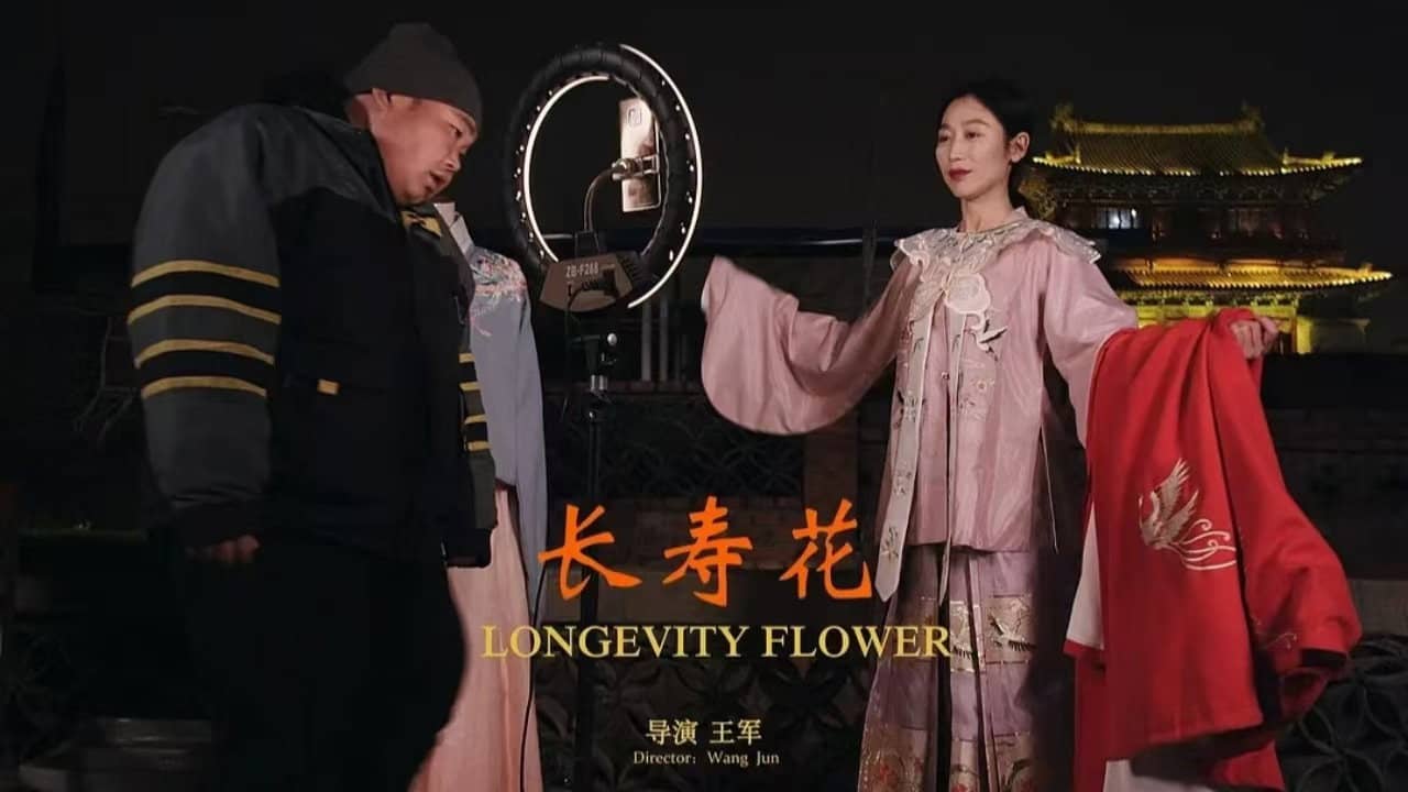 长寿花 backdrop