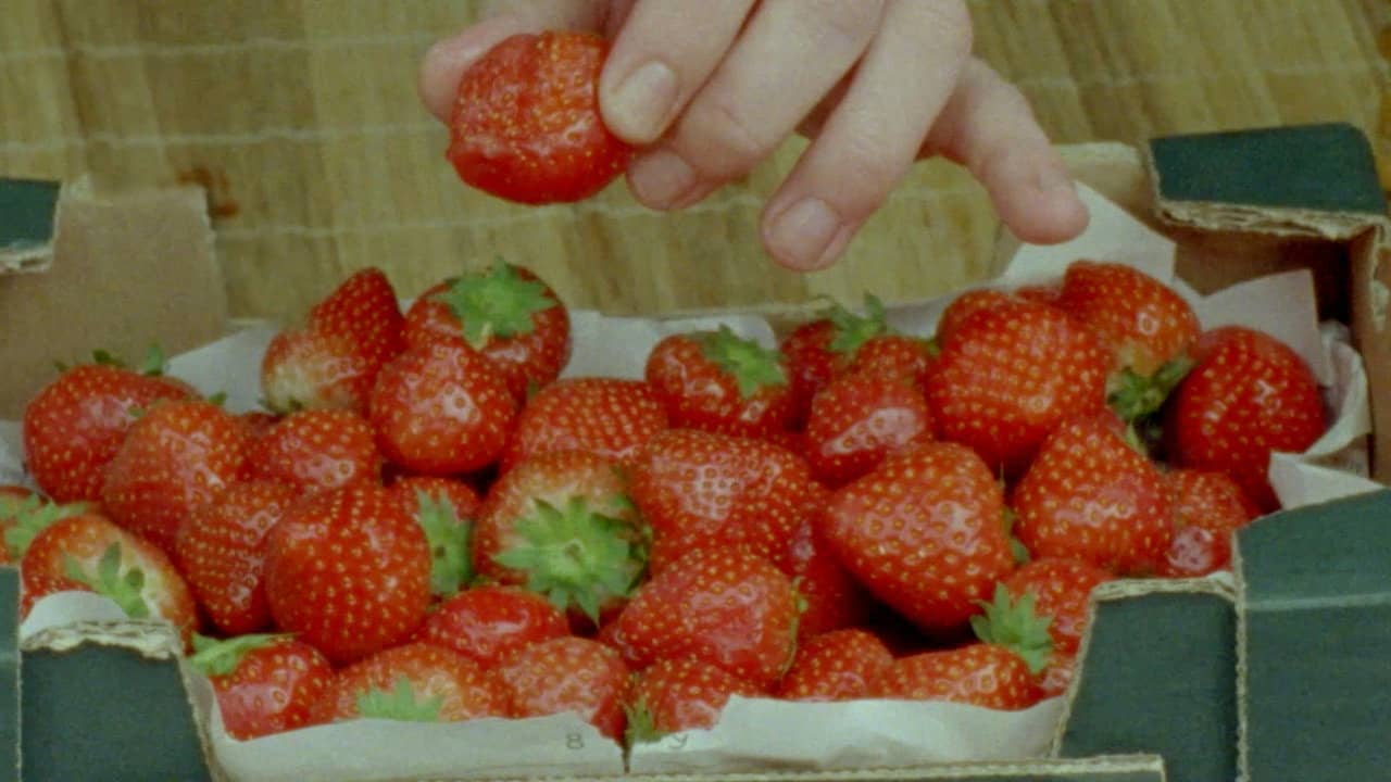 Strawberries backdrop