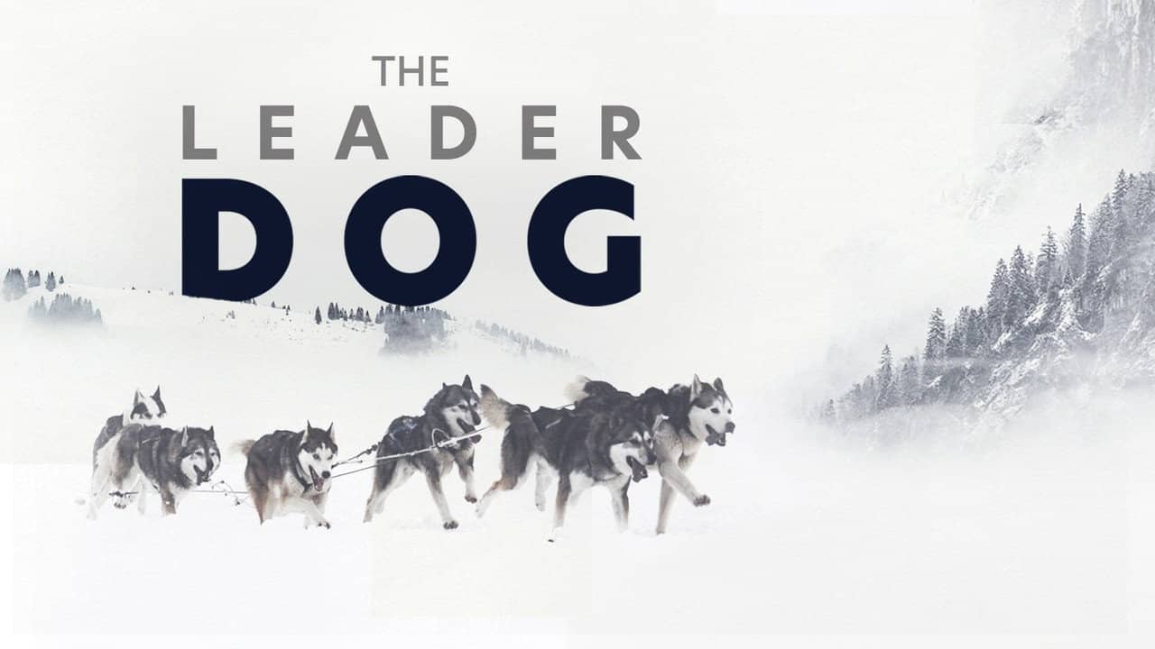 The Leader Dog backdrop