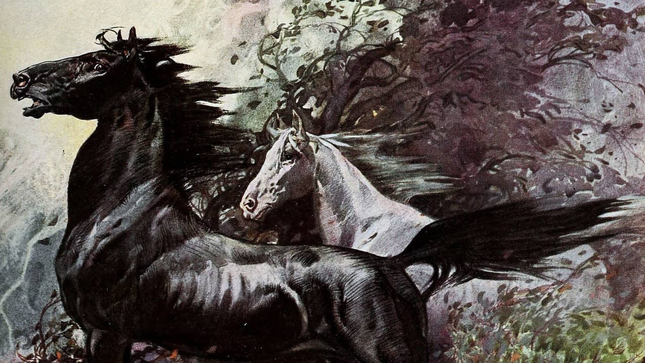 King of the Wild Horses backdrop