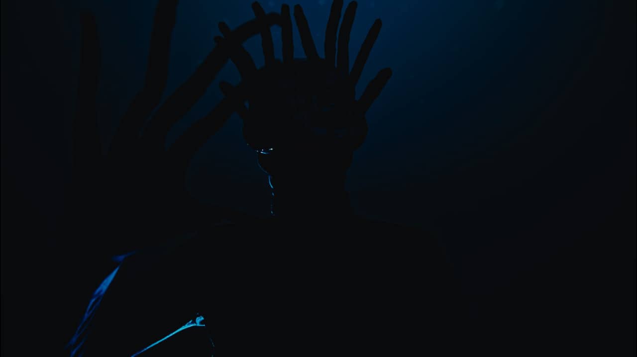 Silhouette backdrop
