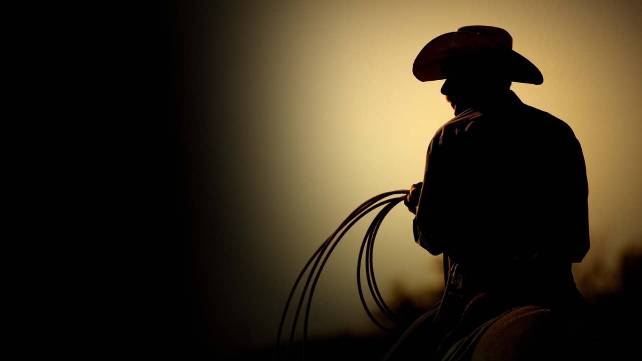 The Last Rodeo backdrop