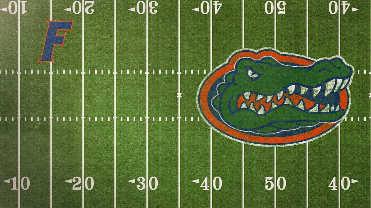 Untold: Swamp Kings backdrop