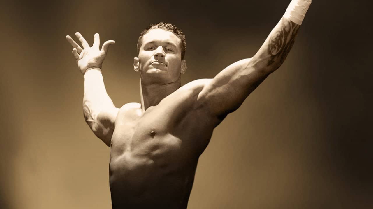 WWE No Way Out 2006 backdrop