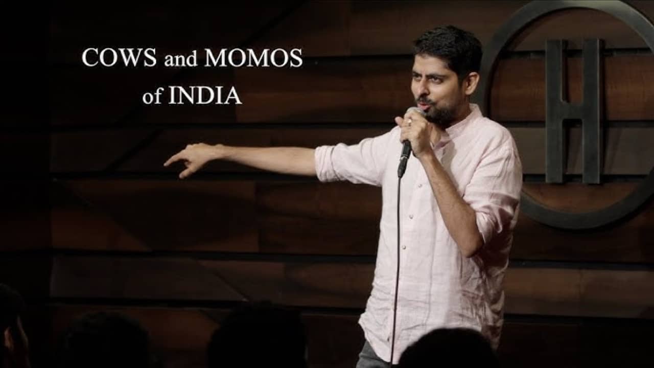 Cows and Momos of India backdrop