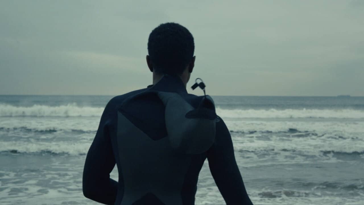 The Surf Report backdrop
