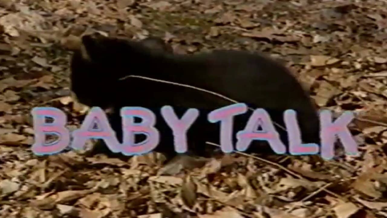 Baby Talk backdrop