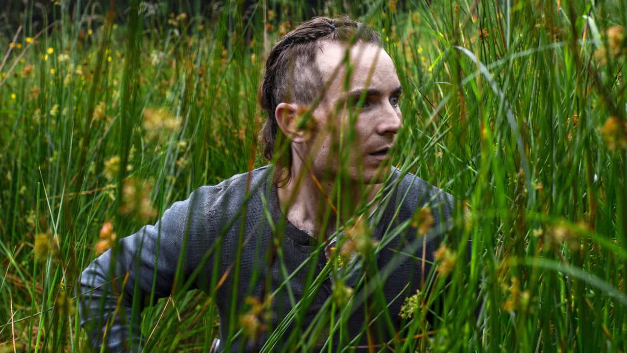 The Survivalist backdrop