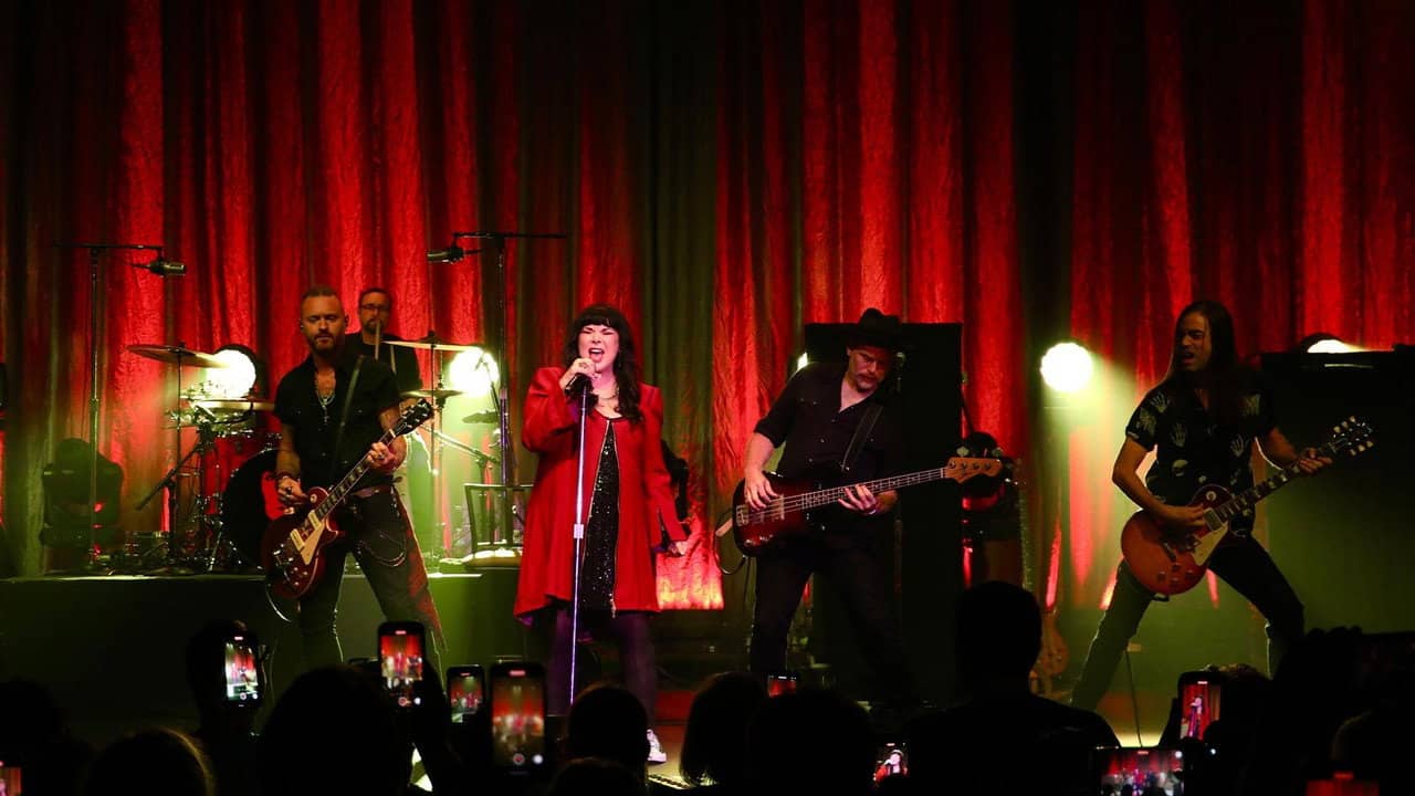 Ann Wilson & Tripsitter - Live in Concert backdrop
