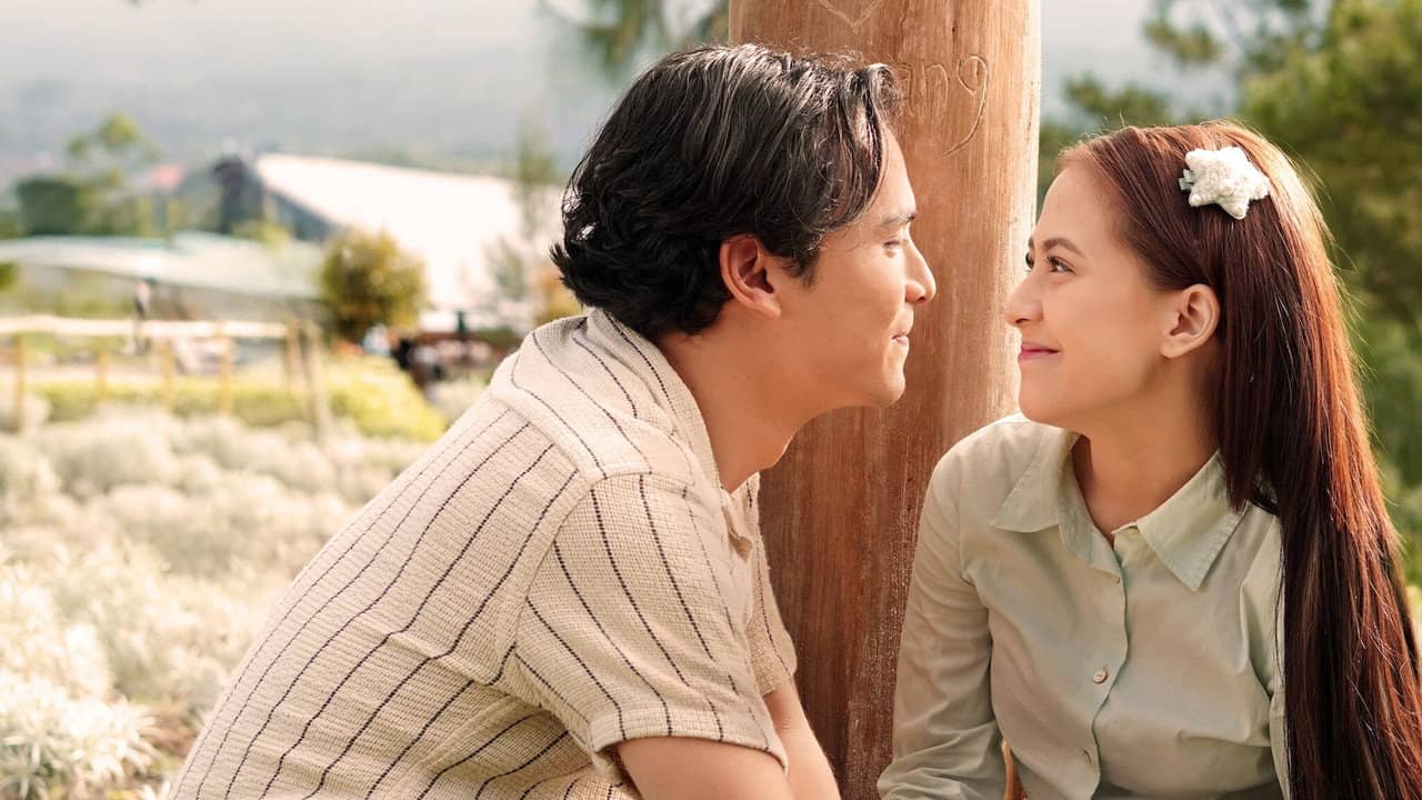 Cinta Dari Timor backdrop