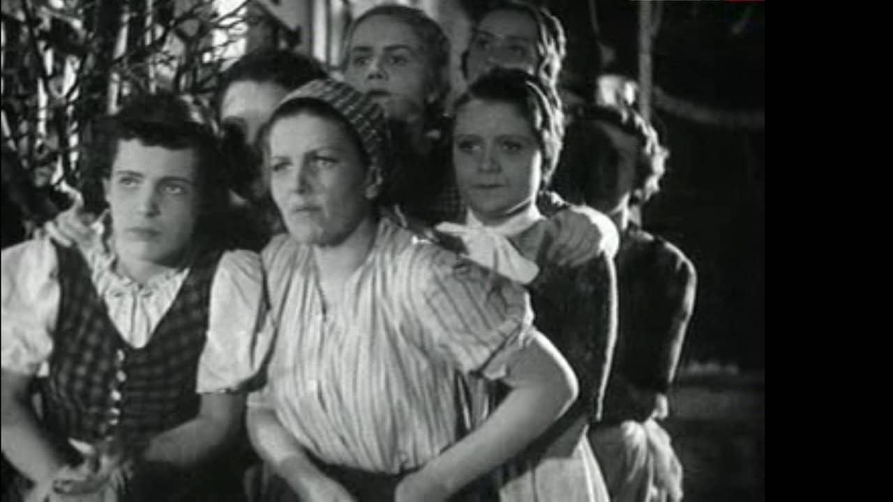 Petticoat Government backdrop