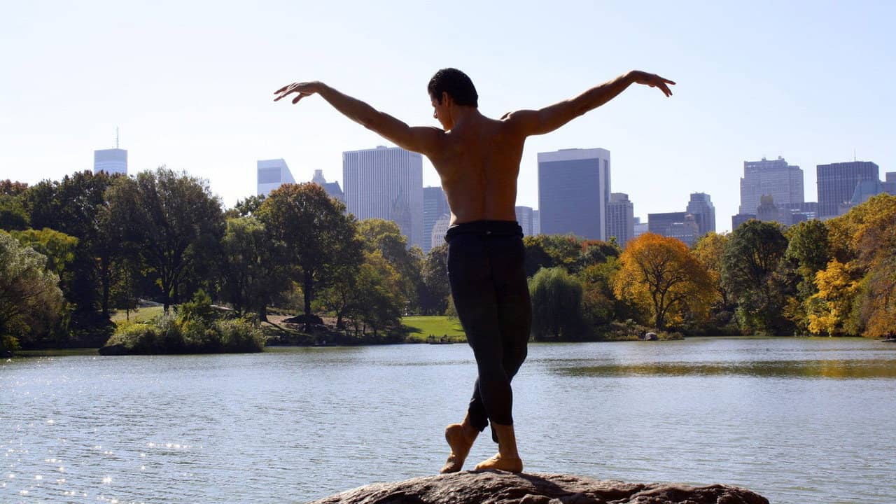 Anatomy of a Male Ballet Dancer backdrop