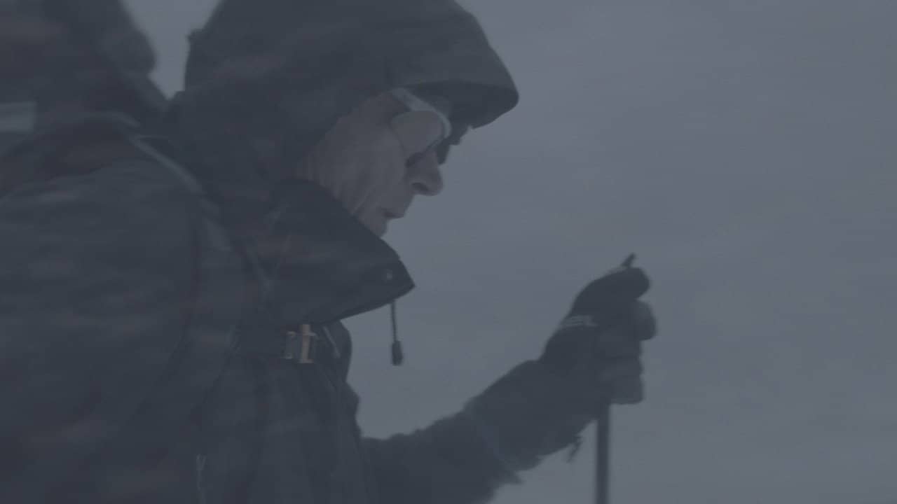 Wandering in the White backdrop