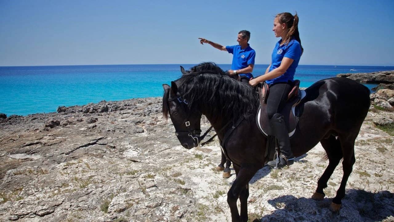 Die Balearischen Inseln backdrop