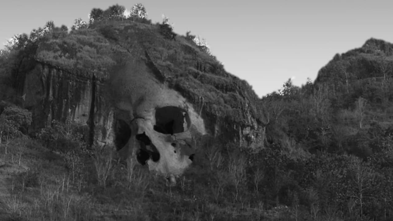 Skull backdrop