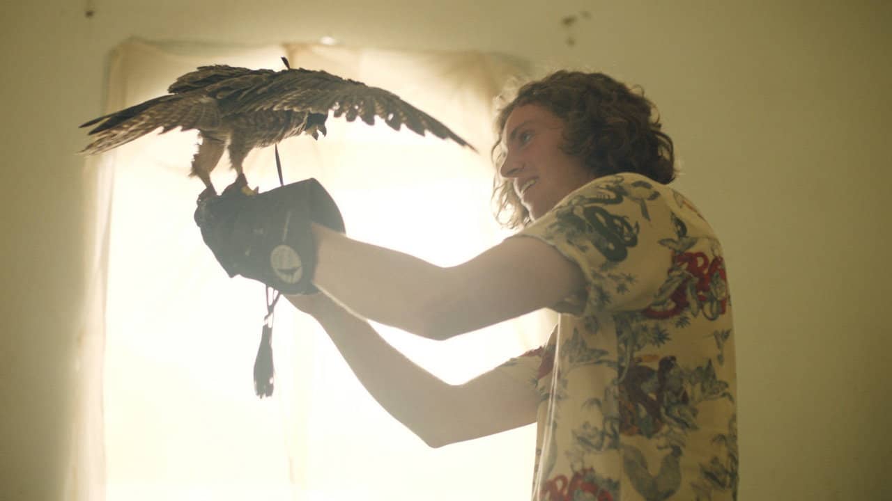 The Falconer backdrop