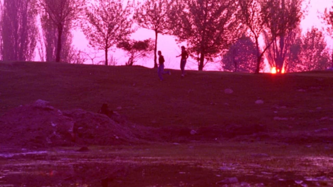 Pink Night backdrop